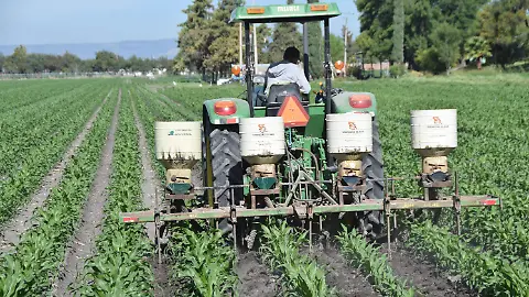 Resiliencia empresarial en Guanajuato: Mipymes del Bajío ganan terreno en mercados globales